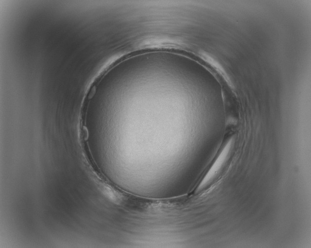 X0000075891277200609291656