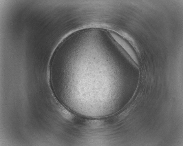 X0000075891280200609291656