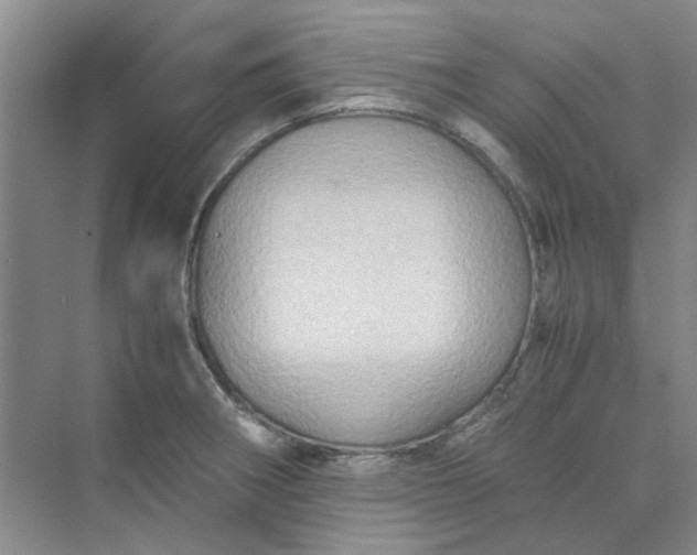 X0000075891282200609291656