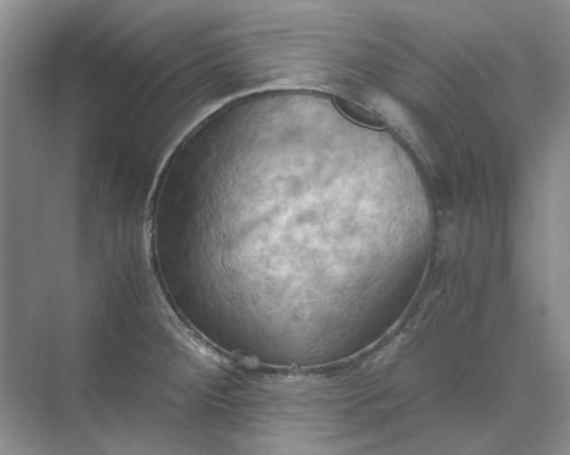 X0000075891284200609291656