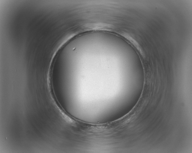 X0000075891285200609291656