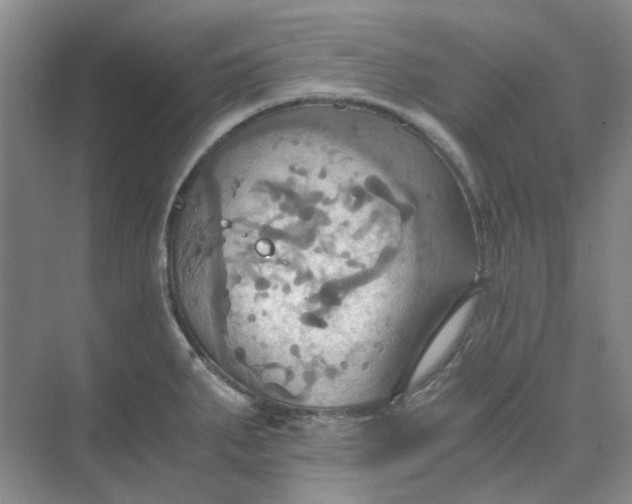 X0000075891287200609291656