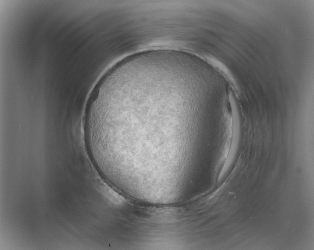 X0000075891288200609291656