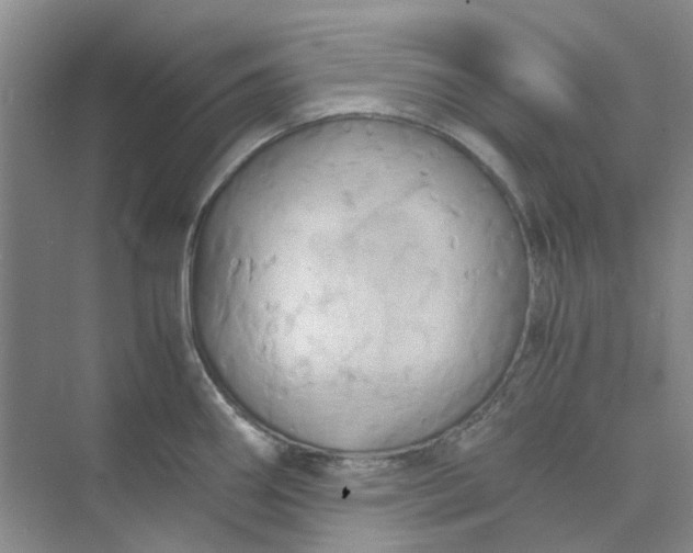 X0000075891290200609291656