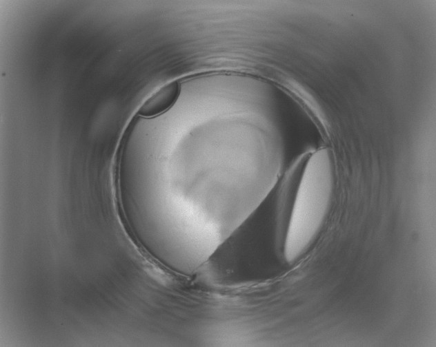 X0000075891291200609291656