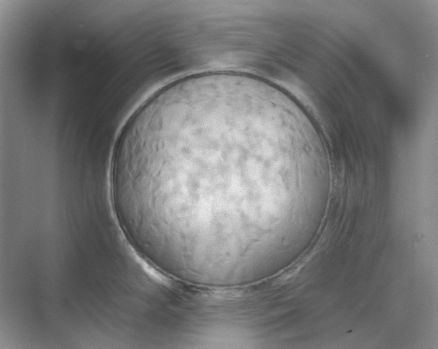 X0000075891294200609291656