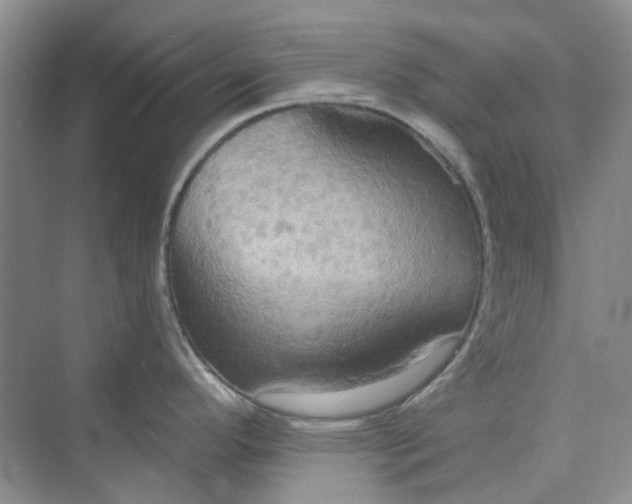 X0000075891296200609291656