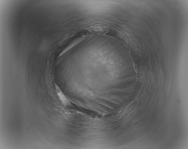 X0000075891297200609291655