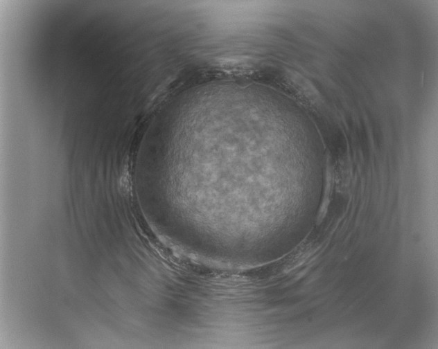 X0000075891298200609291655