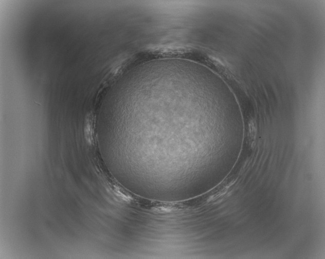 X0000075891300200609291655