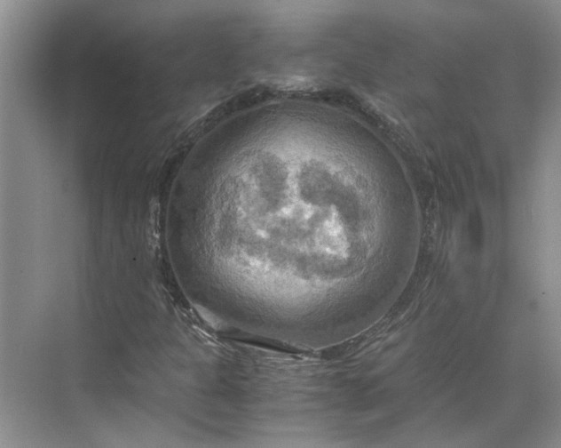 X0000075891301200609291655