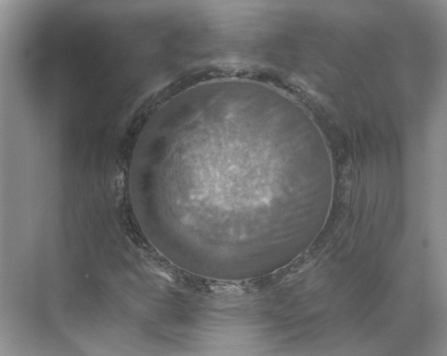 X0000075891302200609291655