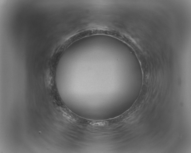 X0000075891303200609291655