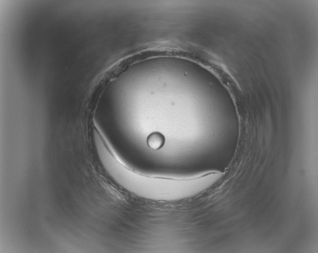 X0000075891304200609291655