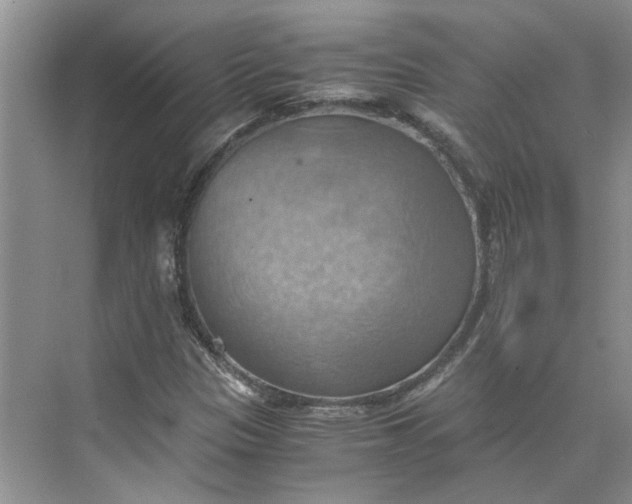 X0000075891305200609291655