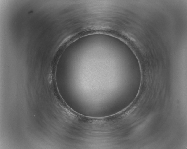 X0000075891306200609291655