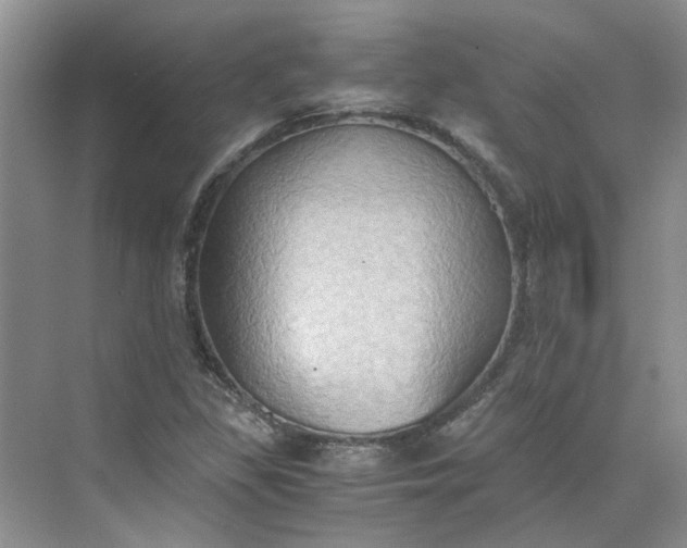 X0000075891309200609291655