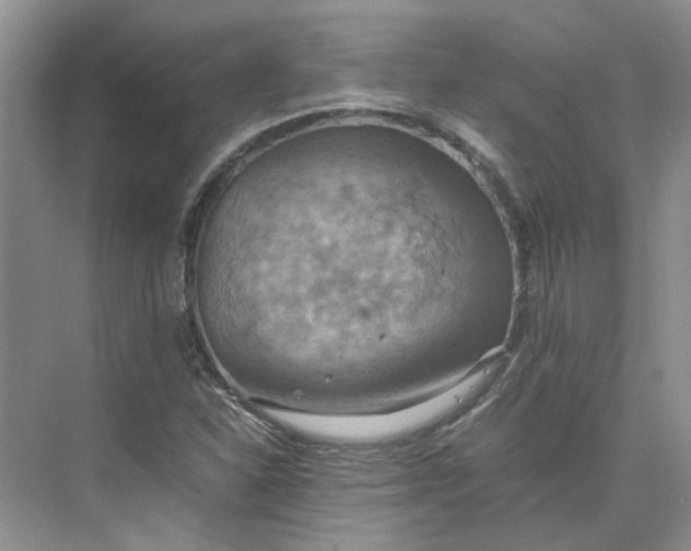 X0000075891310200609291655