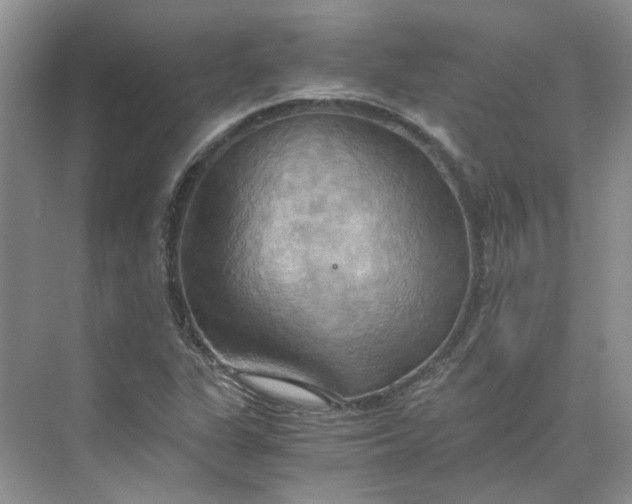 X0000075891311200609291655