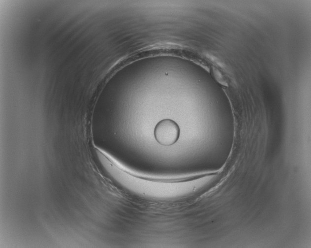 X0000075891313200609291655