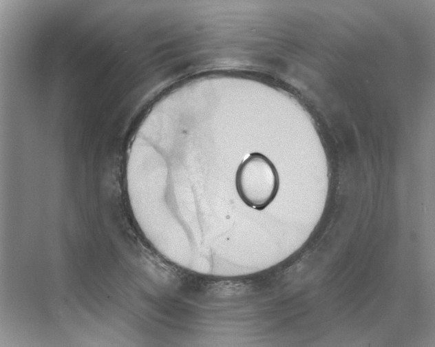 X0000075891314200609291655