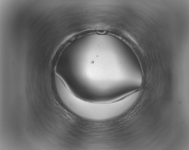 X0000075891315200609291655