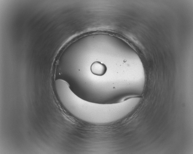 X0000075891316200609291655