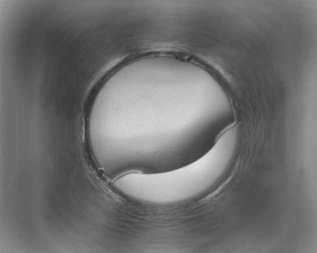 X0000075891317200609291655