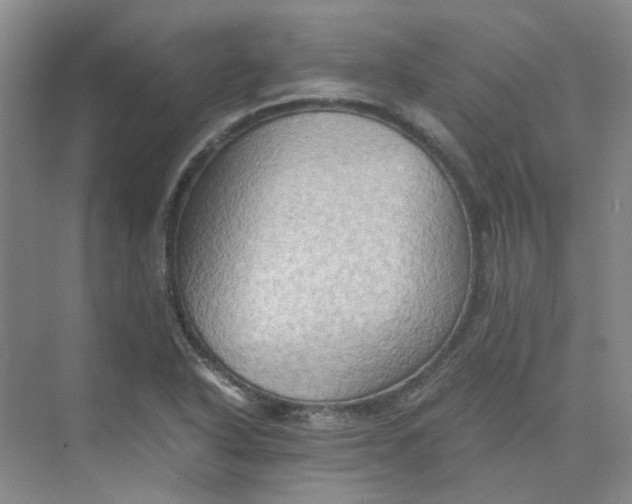 X0000075891318200609291655