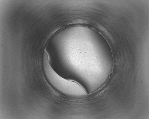 X0000075891321200609291655