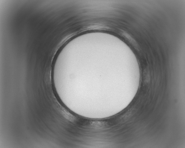 X0000075891322200609291655