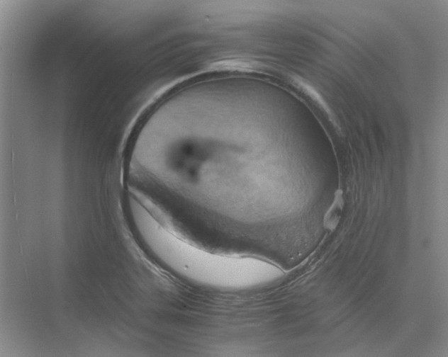 X0000075891323200609291655