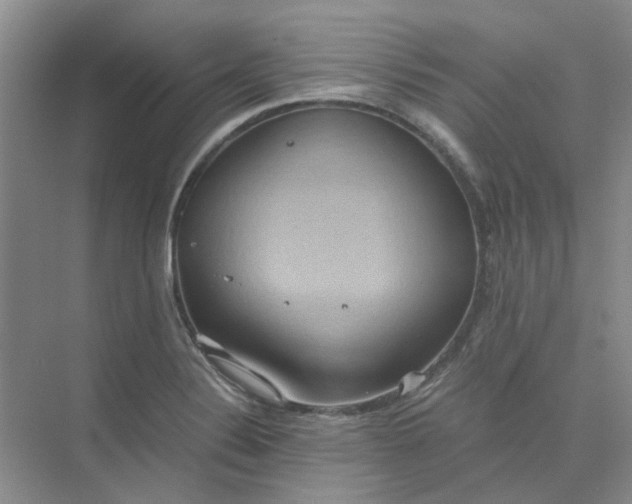 X0000075891324200609291656