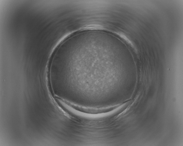 X0000075891325200609291656