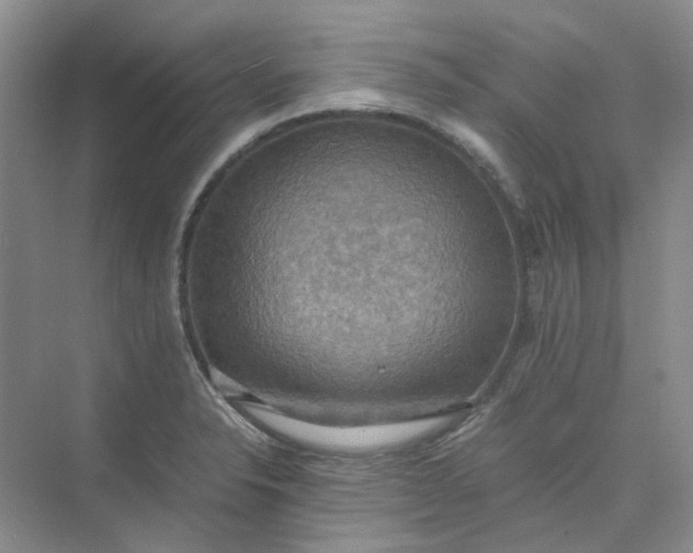 X0000075891326200609291656