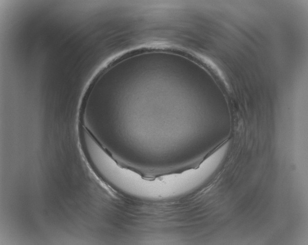 X0000075891327200609291656