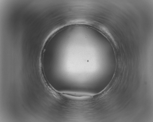 X0000075891328200609291656