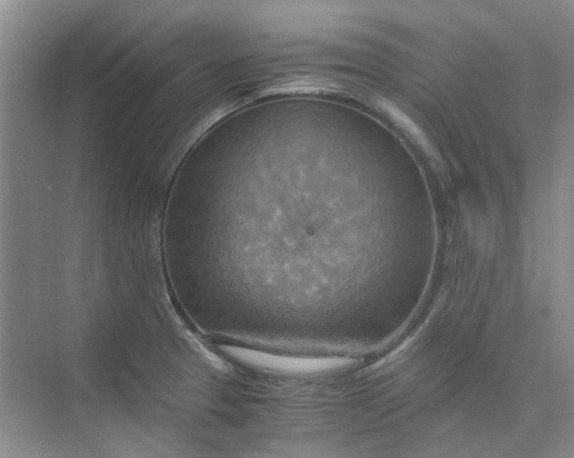 X0000075891329200609291656