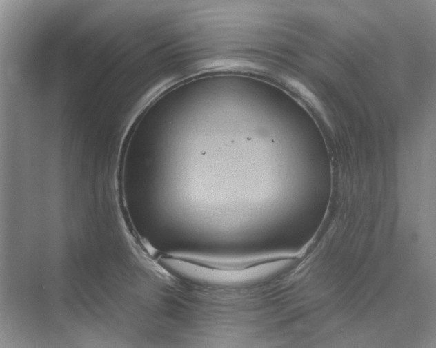 X0000075891330200609291656