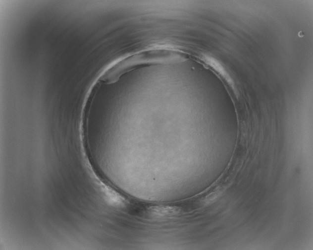 X0000075891331200609291656