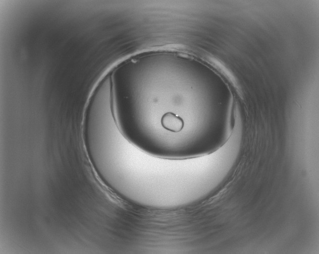 X0000075891332200609291656