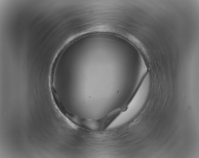 X0000075891334200609291656