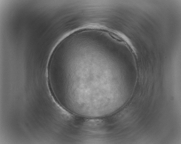 X0000075891335200609291656