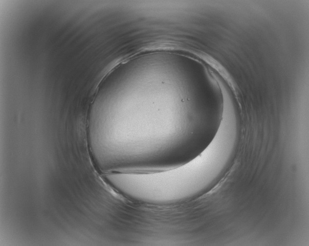 X0000075891337200609291656