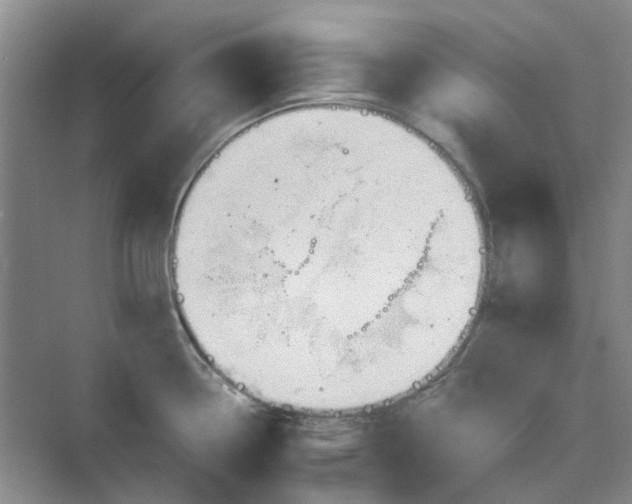 X0000075891338200609291656