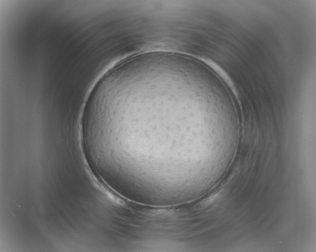 X0000075891341200609291656