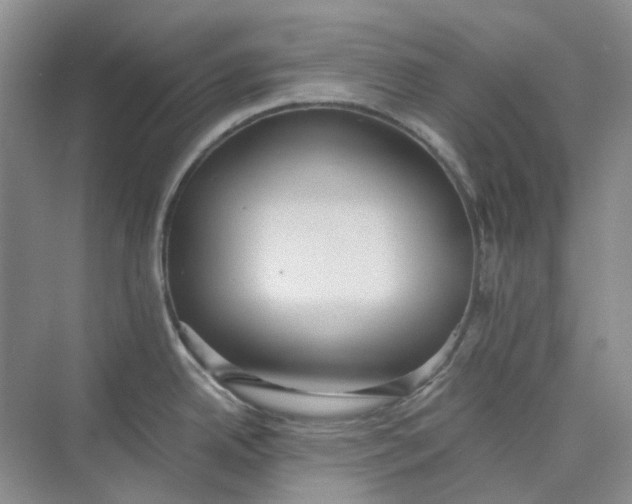 X0000075891342200609291656