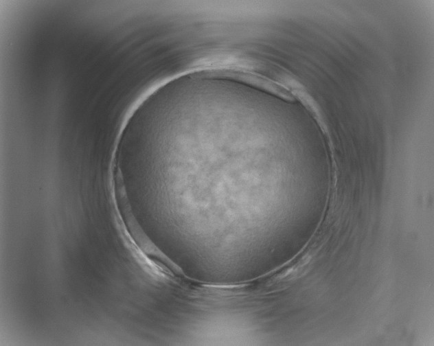 X0000075891344200609291656