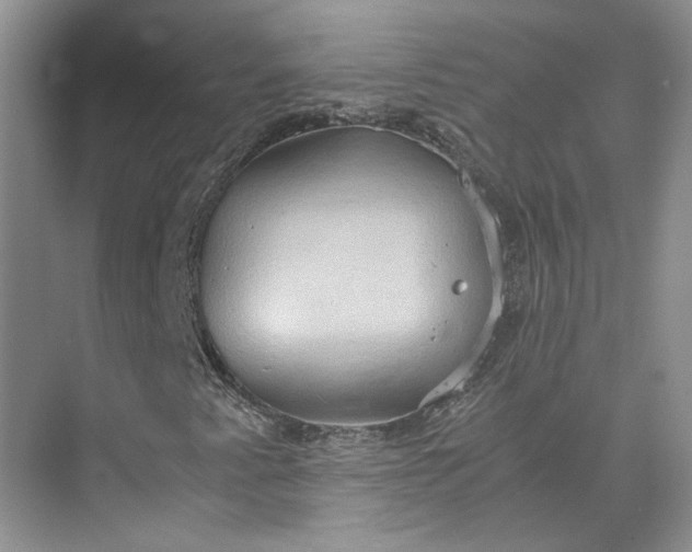 X0000075891345200609291655