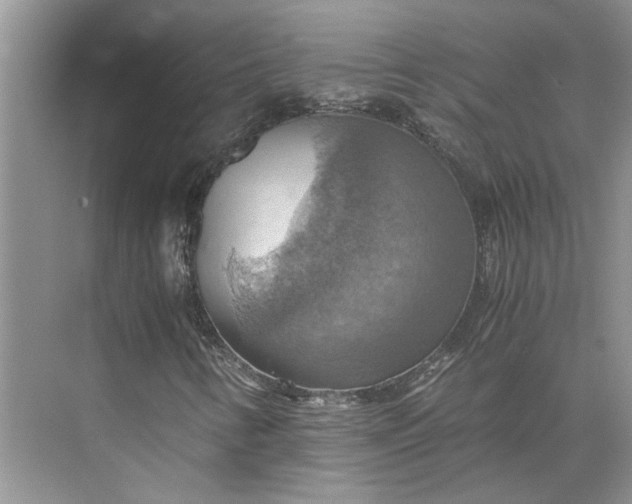 X0000075891346200609291655